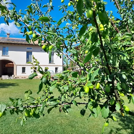 Grancia Di Matilde Bibbiano (Emilia-Romagna)